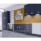 Baked Paint Kitchen Cabinet (M-L94)