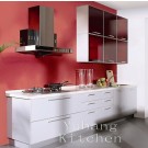 Baked Paint Kitchen Cabinet (M-L95)