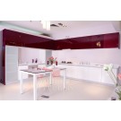 Baked Paint Kitchen Cabinet (M-L98)