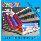 Cartoon Slide Inflatable Giant Slide Adult Dry Slides