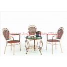 Cheap Iron Rattan Dining Outdoor Garden Furniture (JJ-S461&575)