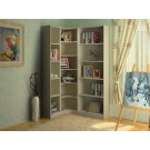 Chinese Furniture Book Cabinet for Living Room