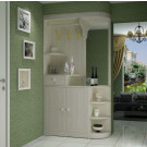 Chinese Furniture Cabinet with New Design (H-124)