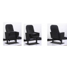 Cinema Chair, Home Theater, Auditorium Chair (AP-04)