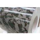 Color Coated Steel Coil