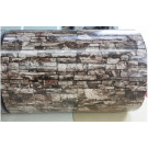 Color Steel Coil