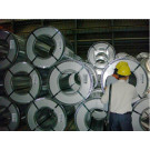 Competitive Price Top Selling Good Quality Color PPGL for Roofing Sheet