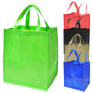 Eco Green Bag