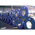 Export, Good Quality Competitive Price PPGI Coil