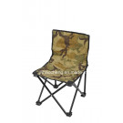Folding Beach Chair, Foldable Camping Chair, Folding Chair