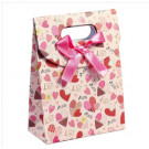 Good Shopping Kraft Packaging Paper Bag/Box
