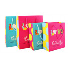 High Quality Colorful Paper Bag China Supplier