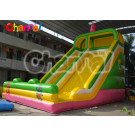 Hot Sale Kids Playing Inflatable Slide