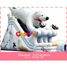 Inflatable Dual Lane Slide Bsl001