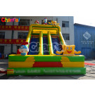 Inflatable Giant Slide/Inflatable Snow Slide Chsl407