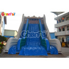 Inflatable Slide/Kids Inflatable Slide Chsl366