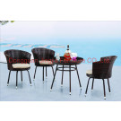 Iron Frame Rattan Outdoor Garden Dining Set (JJ-S473)
