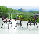 Iron Frame Wicker Leisure Garden Dining Set (JJ-S480&580)