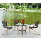 Iron Metal Bistro Rattan Outdoor Garden Dining Patio Furniture (JJ-S309&576)