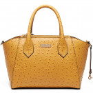 Newly Luxury Ostrich Ladies Leatherbags Fashion Bags Lady Handbags (S583-A2692)