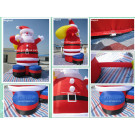 Outdoor Inflatable Christmas Grinch for Sale (MIC-355)