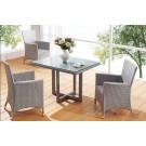 Outdoor Rattan Garden Wicker Patio Bistro Dining Furniture (JJ-S667)
