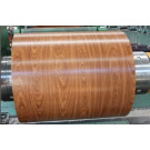 PPGI Coil -Wood-004