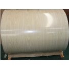PPGI Coil -Wood-005