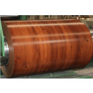 PPGI Coil -Wood-010