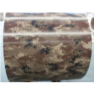 PPGI Coil