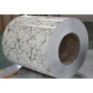 PPGI Coil