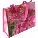 Promotional Non Woven Bag with PP Lamination