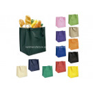 Promotional Non Woven Shopping Bag
