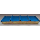 RW-960-100 Sandwich Panel