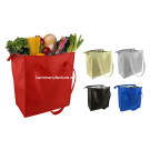 Shopping Cooler Bag