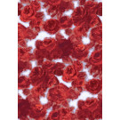 Silk Available Pirnt Artwork 34