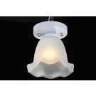 Single Light Crystal Ceiling Lamp with Glass Shape Em2108-1