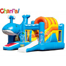 Wave Inflatable Bouncer Castle/Inflatable Jumper Combo B007