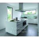 White Painting Kitchen (Lacquered Kitchen Furniture