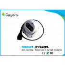 1/2.5" CMOS Mobile Phone Monitor PTZ Control IP Camera for Supermarket