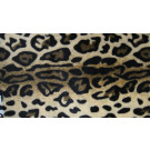 100%Polyester of Warp Knitted Fabric