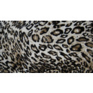 100%Polyester of Warp Knitted Fabric