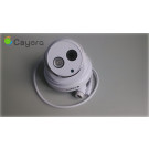 1080P Day / Night IR-Cut Network IP Security Camera with Mobile Phone APP