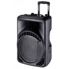 12" 2-Way PA Speaker Box / Plastic Speaker/Cabinet