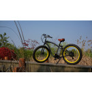 2015 Hot Sale 500W 48V Electric Fat Tire Bike with Lithium Battery