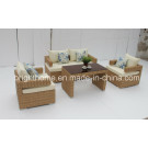 2015 New Design Outdoor Sofa Set Wicker Furniture/Outdoor Leisure Furniture (BP-8008)