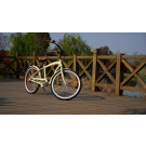 250W 36V Cool Adult Electric Man Beach Cruzer (TDE06Z-1214)