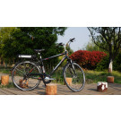 250W 36V Cool Man Electric Bicycle for European