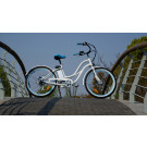 250W 36V High Speed Electric Beach Cruzer for Lady