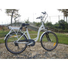 36V 250W Cheap Electric Bike for Sale